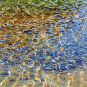Discesa al Natisone da Borgo Brossana - acque smeraldine del Natisone - Foto F. Caponera
